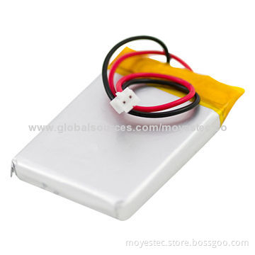 1,600mAh Li-polymer Battery for GPS, Camcorder, Portable DVD and Bluetooth